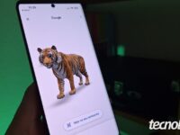 Google 3D: como o WebXR renderiza animais no navegador em RA