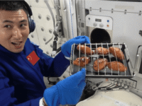 Air fryer espacial: PID e sistemas embarcados explicados